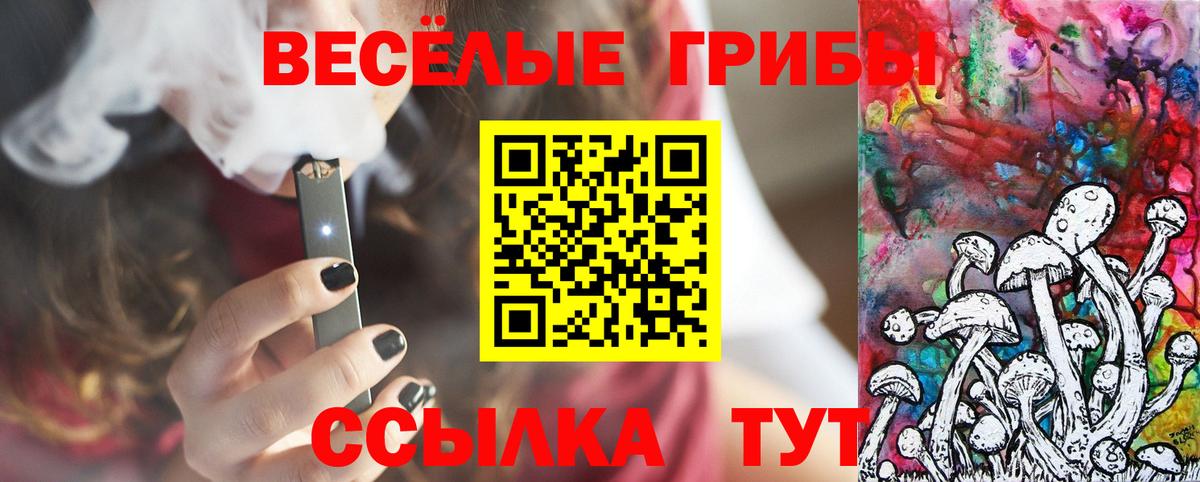 Галлюциногенные грибы мицелий  Псилоцибиновые грибы Psilocybe  закладки  Гусиноозёрск  Вход с VPN 